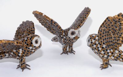 Owls